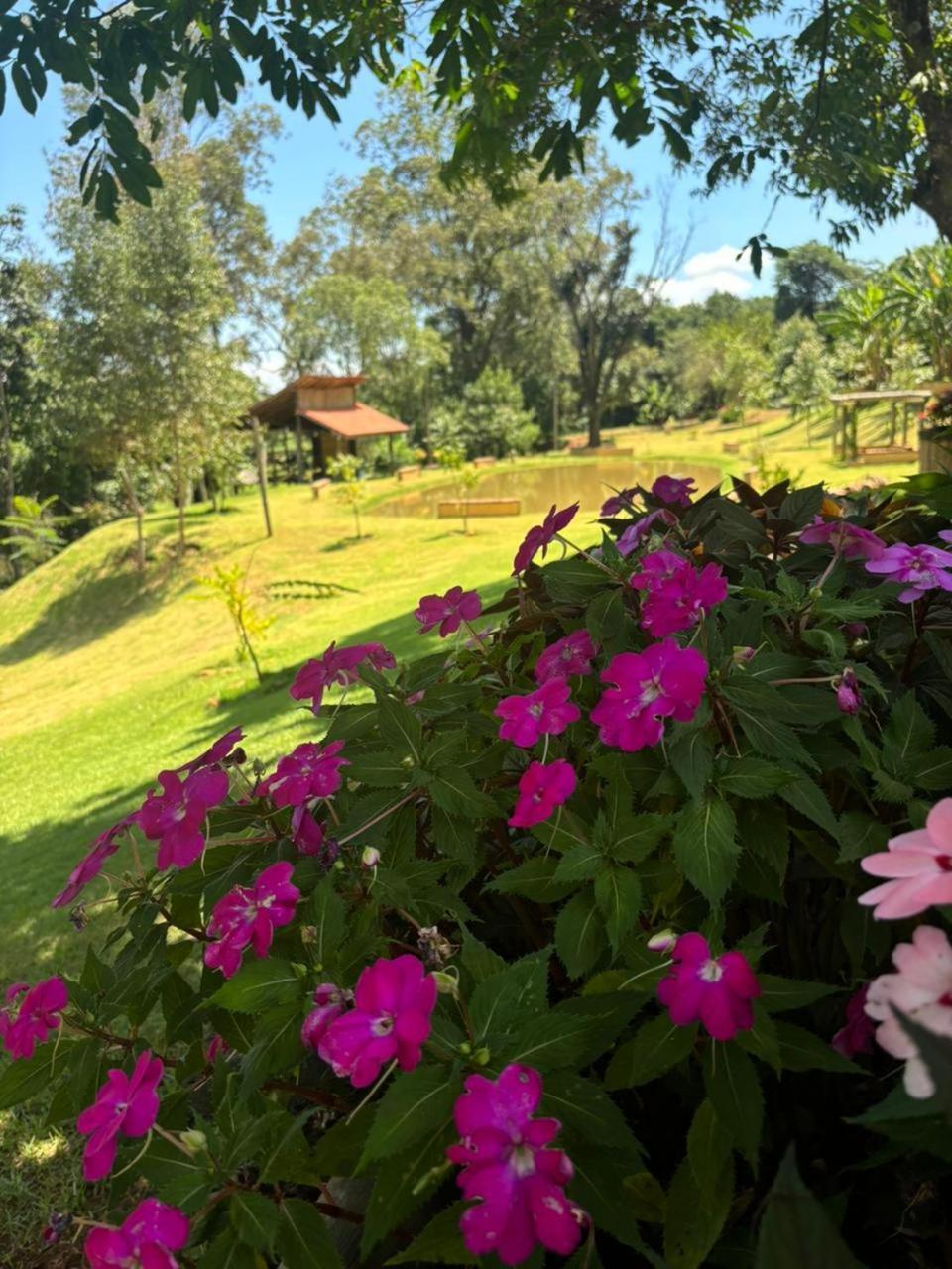 فندق Fazenda Brotas Sp المظهر الخارجي الصورة